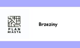 Brzeziny