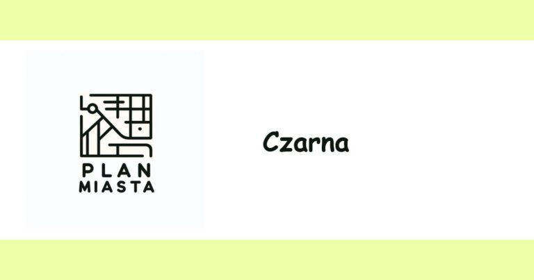 Read more about the article Czarna