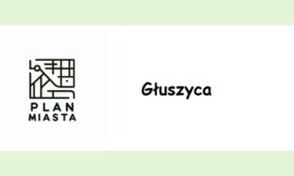 Głuszyca