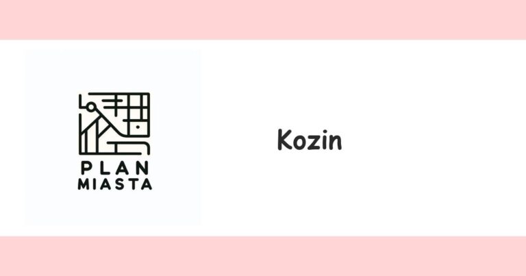 Read more about the article Kozin