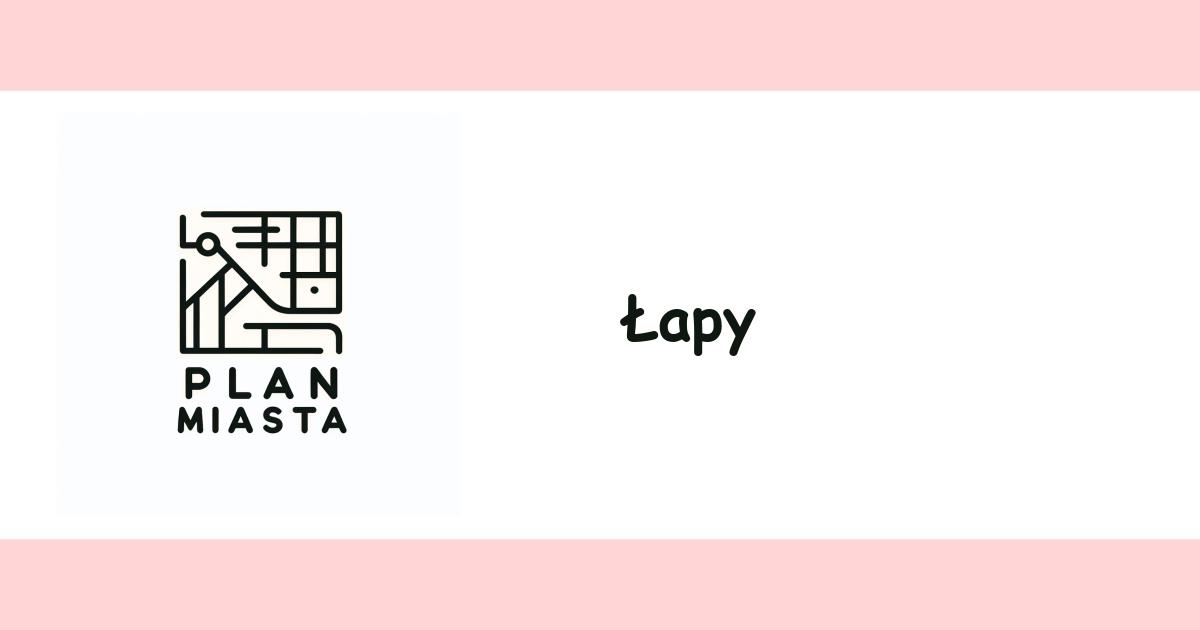 Łapy