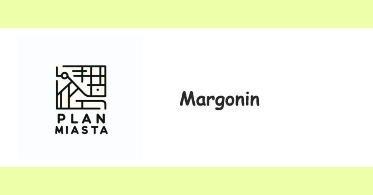 Read more about the article Margonin