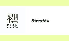 Strzyżów