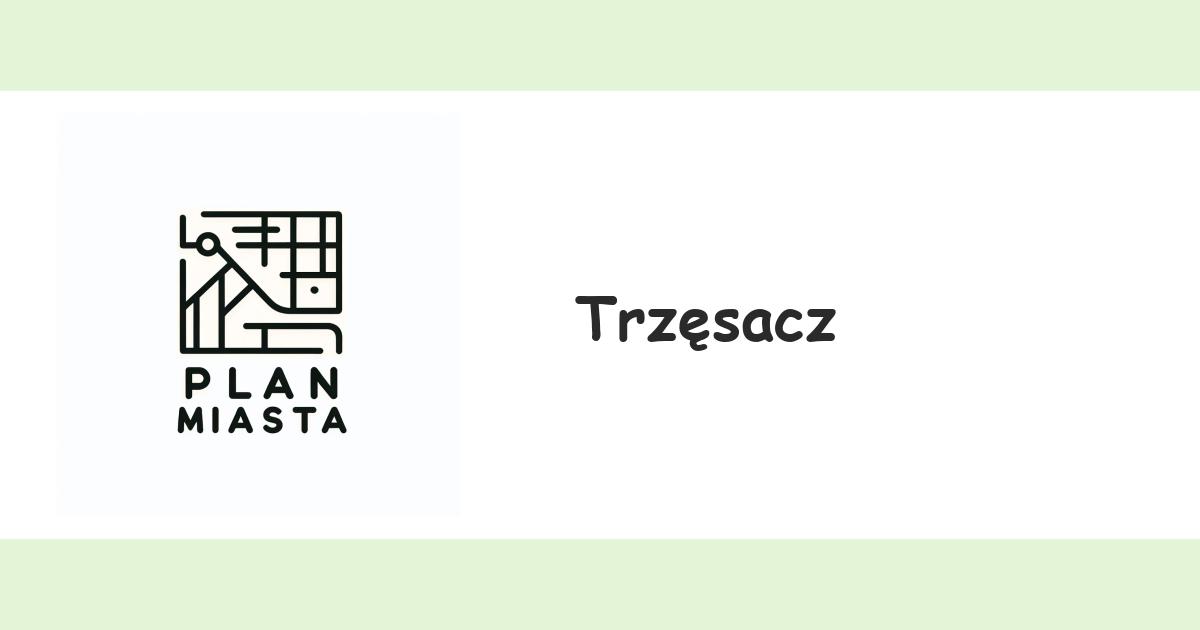 Trzęsacz