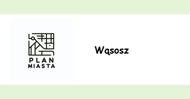 Read more about the article Wąsosz